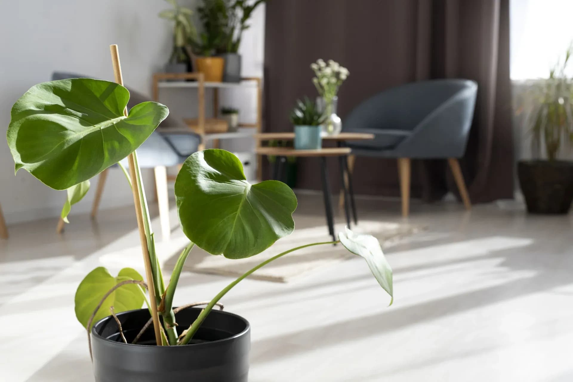apa itu green living